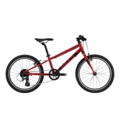 Bicicleta Giant ARX 20